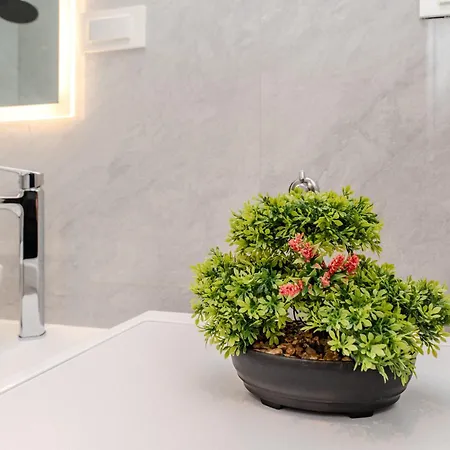 Kolovare Luxury Apartamento Zadar